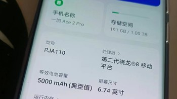 兼职，20天，买了一加ace2pro 24g 1tb，动用了去年攒的京东卡