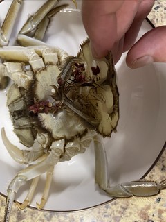 我家娃喜欢这么吃螃蟹