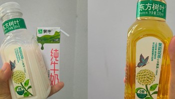 东方树叶茉莉花茶+牛奶，旅行路上的饮品搭档。