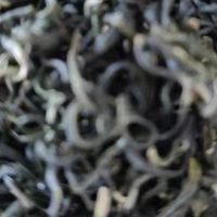 一斤碧螺春，天上人间醉