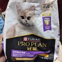 离乳期猫粮怎么选