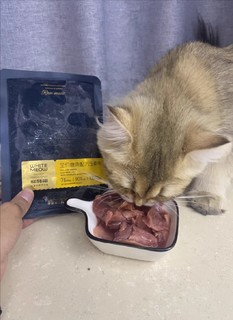 怀特喵生骨肉