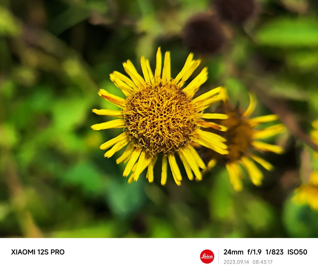 求可以看股票的手表_什么值得买