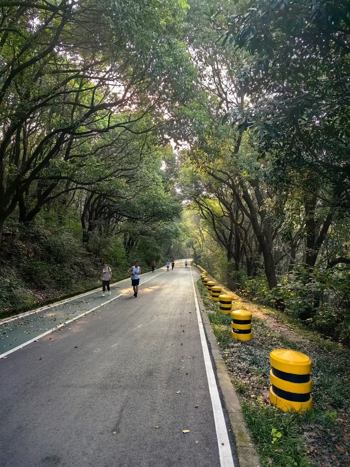 迪卡侬公路车