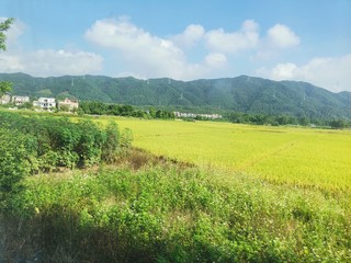 穿着登山鞋，穿越田野向山顶出发