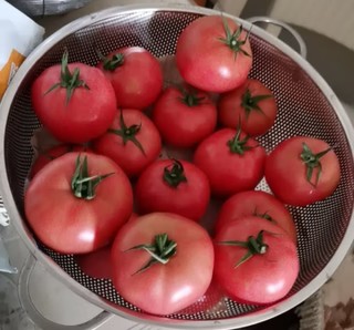 绿行者（GREER）桃太郎番茄 2.5kg/箱 生吃西红柿