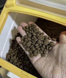 台派 狗粮40斤装牛肉味双拼通用型金毛萨摩耶拉布拉多德牧马犬中大型