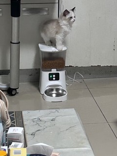 猫咪自动喂食器