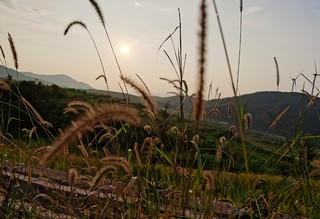 漫山遍野追着日落跑