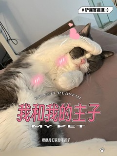 猫猫一天要睡多长时间？