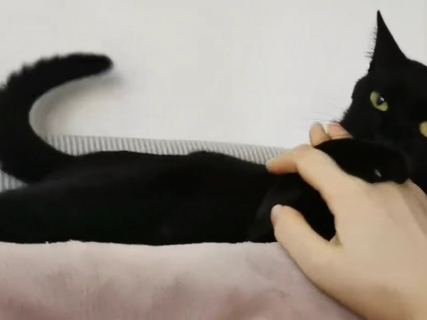 大战三百回合！为了检查牙齿，杀敌一千自损八百！