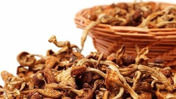 干的茶树菇怎么做好吃？