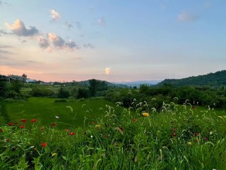 国庆回老家田间寻风