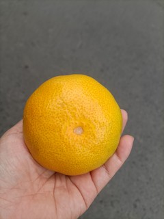 京鲜生的蜜橘很甜