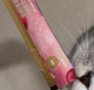 网易猫条 猫咪爱吃