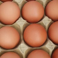 鲜鸡蛋市场行情分析，明日价格预测"   // 标题采用结论句，增加权威感