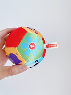 养娃不费力 篇十四：帮助孩子建立认知的球球
