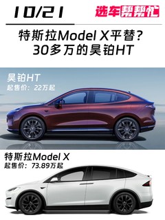 Model X平替？你会喜欢鸥翼门吗❓