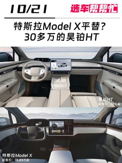 Model X平替？你会喜欢鸥翼门吗❓