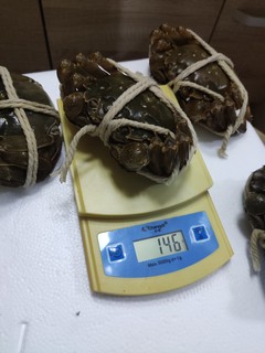 大闸蟹品质不错但是诚信差一点！明明说是去绳足称，但是客服的诡辩让人无语！