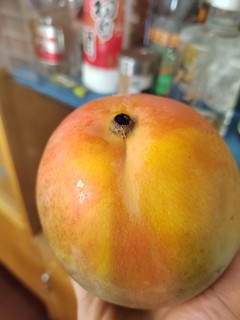 芒果应该怎么吃才好？