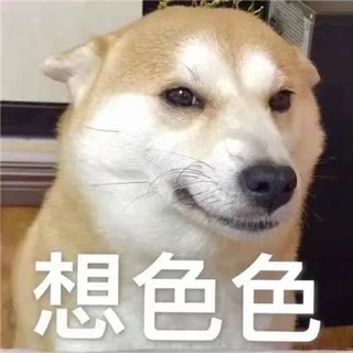 狗粮推荐