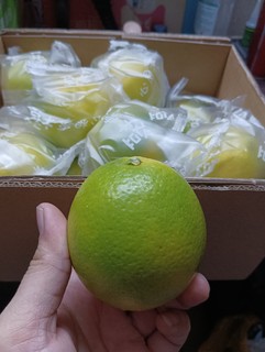 27块入手一箱京东生鲜冰糖橙