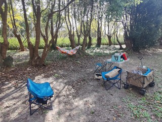 秋天就适合出去烧烤野餐