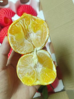橙子🍊还是水果橙子好吃