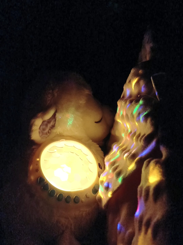 照亮黑晚的小绵羊，带娃好帮手