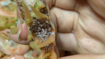 满肚子的虾宝宝都长眼镜了，北极甜虾怎么吃？