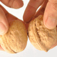 老年人每天吃一把坚果，竟然可以改善认知功能？