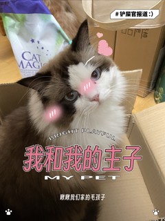 79元11kg的喵洁客猫砂到手了！还有这个价一定踢我！没囤够