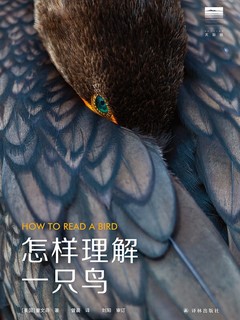 🐧🐦怎样理解一只鸟🐦🐧