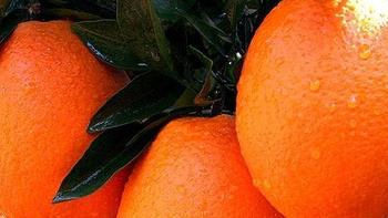 科学告诉你：催熟的橙子能不能吃
