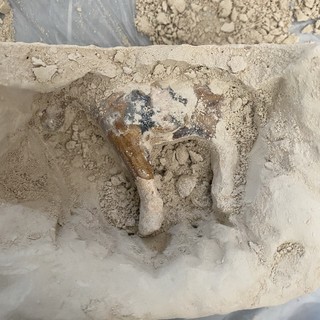 家庭大型考古发掘现场