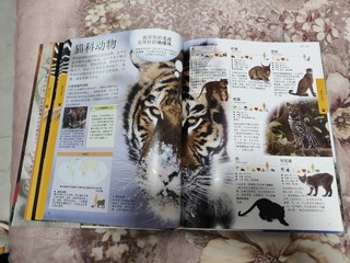 孩子的小伙伴-DK动物百科全书