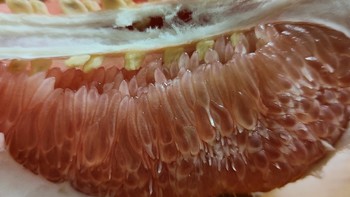 食品健康 篇十：这么大的柚子好吃吗？