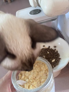 🐾欢迎来到猫咪天堂！铲屎官们，你们是否在寻找一款能满足你们猫咪口感和营养需求的完美零食？