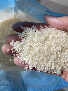 1.5元一斤的米好多年不见了