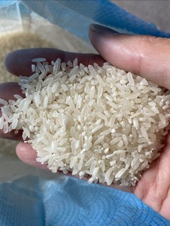 1.5元一斤的米好多年不见了