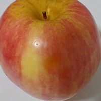 今日份水果：应季的红苹果