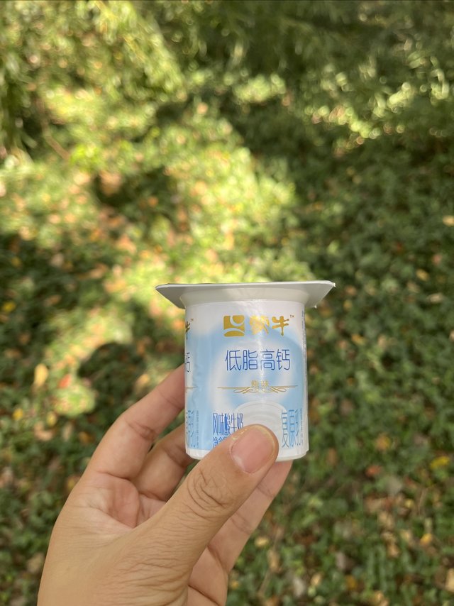 笔记轻种草77｜蒙牛低脂高钙风味酸牛奶原味