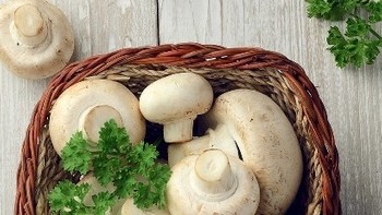 日用百货 篇五：白蘑菇怎么保存才不会变黑？ 