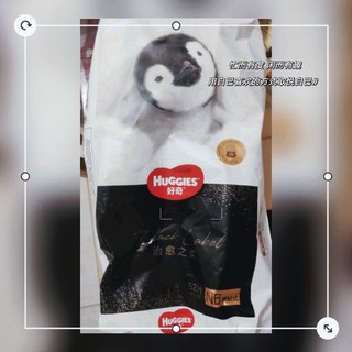 好奇（Huggies）治愈之柔企鹅纸尿裤