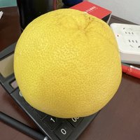 老板来分的一个小柚子！