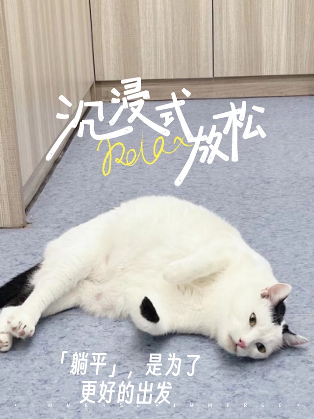 猫🐱也想躺平！