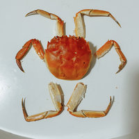 金锦上的大闸蟹，个头虽小，味道还可以