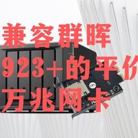 兼容群晖DS923+的万兆网卡，仅需三百多元