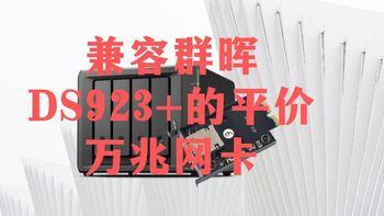 兼容群晖DS923+的万兆网卡，仅需三百多元